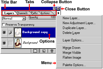 [Palette Options: Menu, Title bar, Collapse and Close Buttons, Options]
