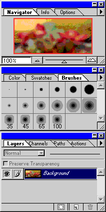 [Five Paletes: Info, Colors, Layers, Commands, Brushes]